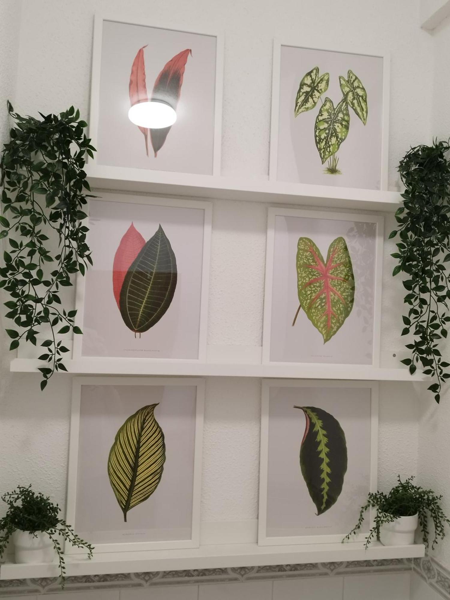 Apartamento Jardin Del Mar Πουέρτο Ντε Λα Κρουζ Εξωτερικό φωτογραφία